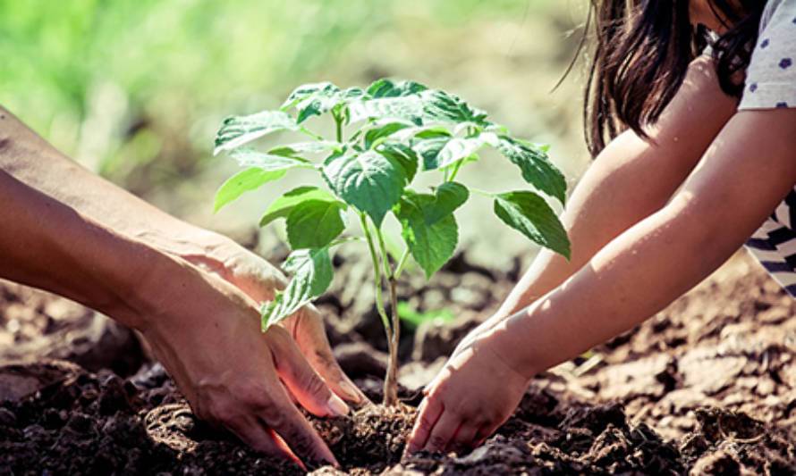 Impulsan capacitación en producción vegetal sustentable para comunidades escolares