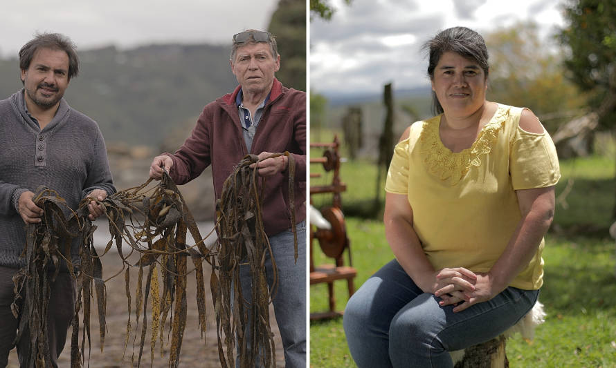 Emprendedores de Futrono y Valdivia disputarán final de millonario concurso nacional 
