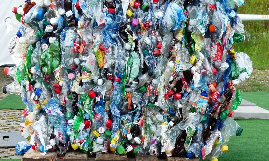 Plásticos de un solo uso: La solución está en educar, no en prohibir