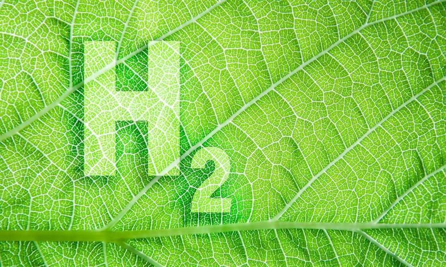 ¿Qué es el hidrógeno verde?