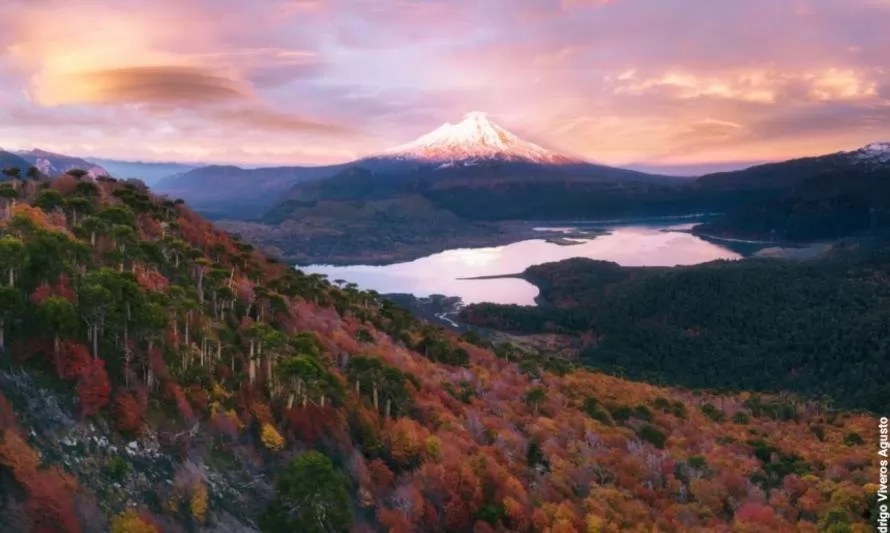 Invitan a expo virtual para concientizar sobre el cambio climático  