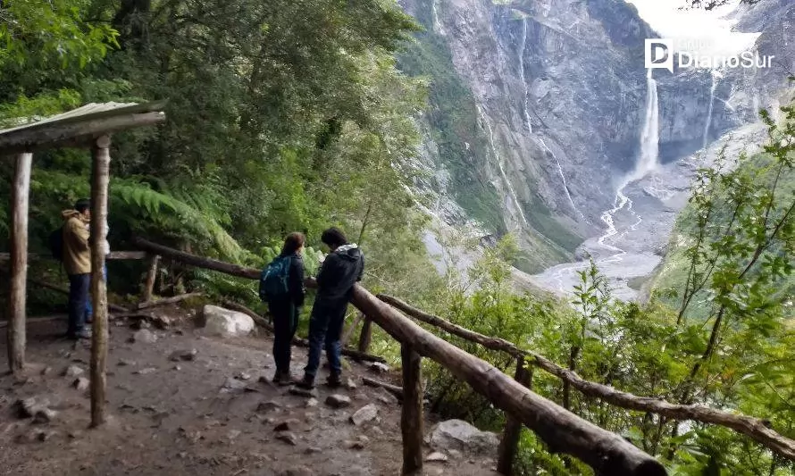 Parque Nacional Queulat: 39 años protegiendo a la ranita de Darwin