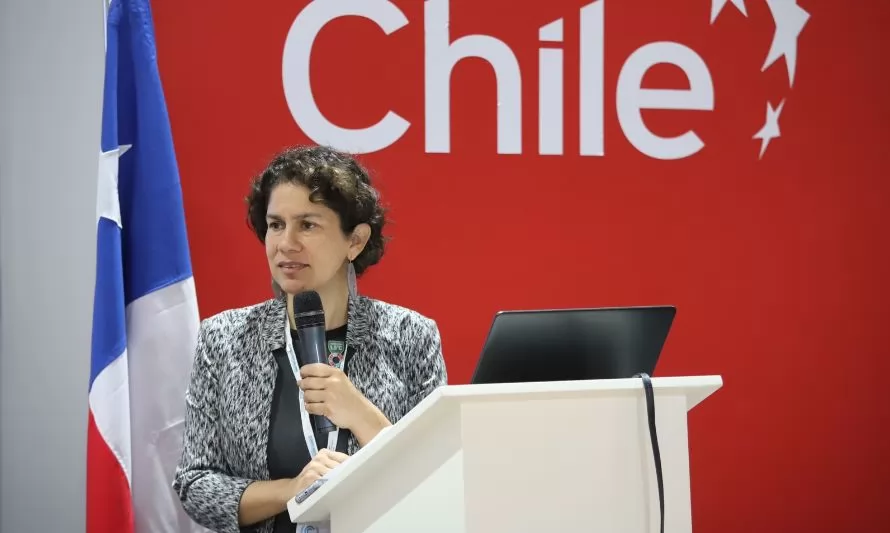 Chile se compromete a reforzar medidas para combatir el cambio climático en COP27