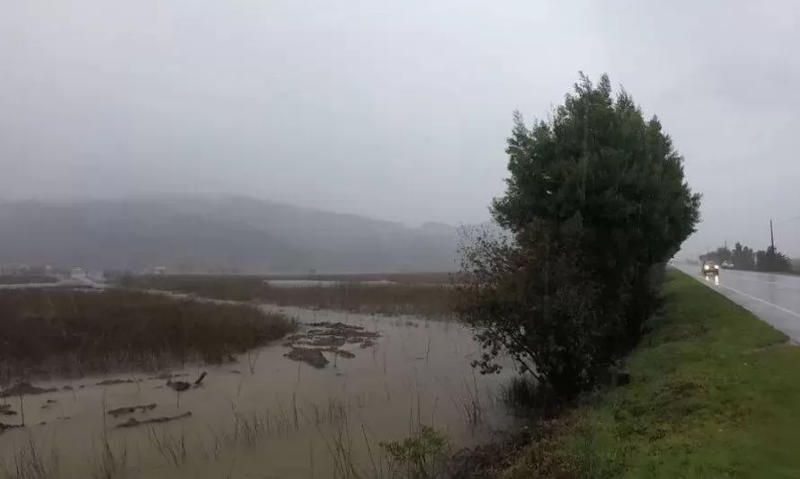 Retoman demanda impulsada por el municipio de Valdivia contra particular por daño ambiental 