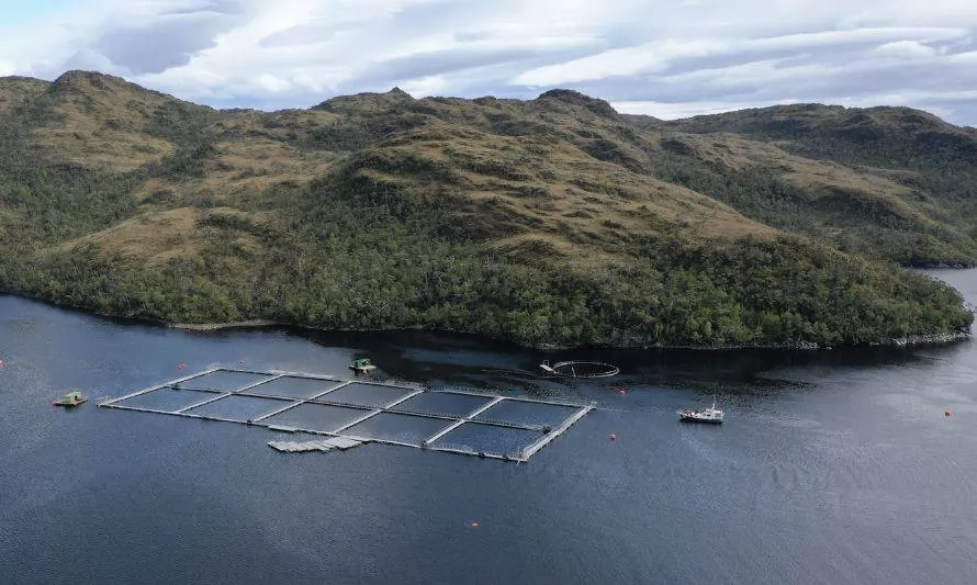 Anulan resolución de calificación ambiental de salmonera en Reserva Nacional Kawésqar