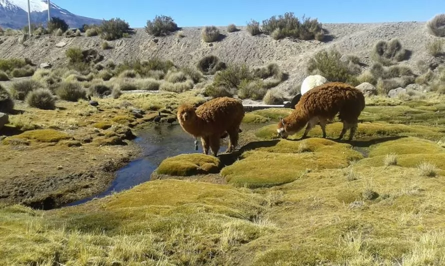 Inicia proceso participativo de actualización del plan de adaptación climática y biodiversidad 