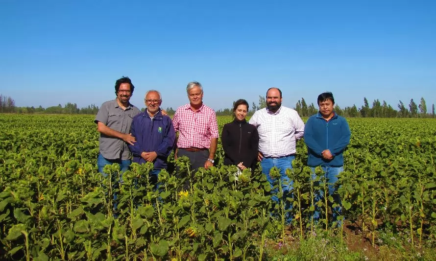 INIA y Nestlé firman convenio para el desarrollo de agricultura regenerativa en sector de cereales en Chile