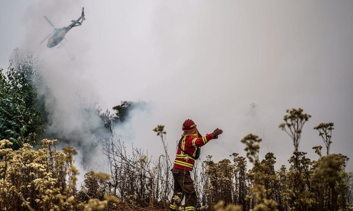 "Imposibles de apagar”: exigen más recursos en prevención y control frente a incendios