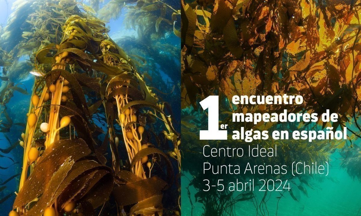 Punta Arenas será sede del primer encuentro en español de mapeadores de algas