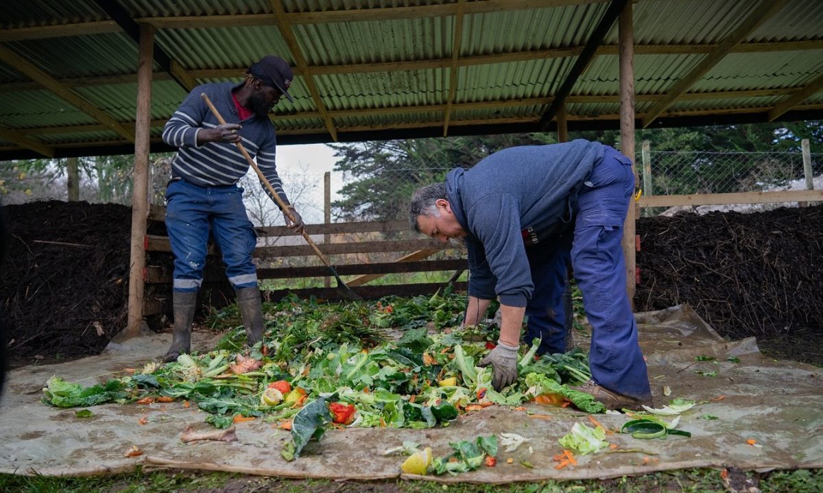 Osorno impulsa el cuidado del medio ambiente con programa de compostaje 