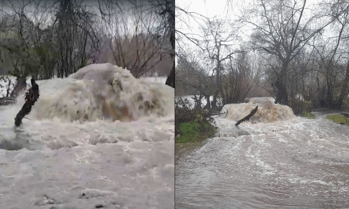 Denuncian contaminación de ríos en Osorno por derrame de aguas servidas 