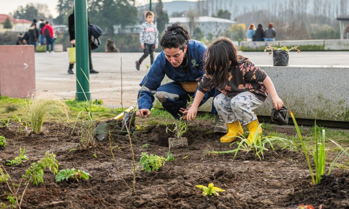 Valdivianos pusieron manos en la tierra y lograron plantación de mil ejemplares nativos en costanera