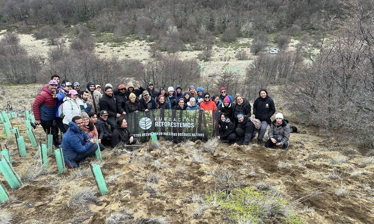 Finaliza inédito ciclo de voluntariados por los bosques nativos en la patagonia