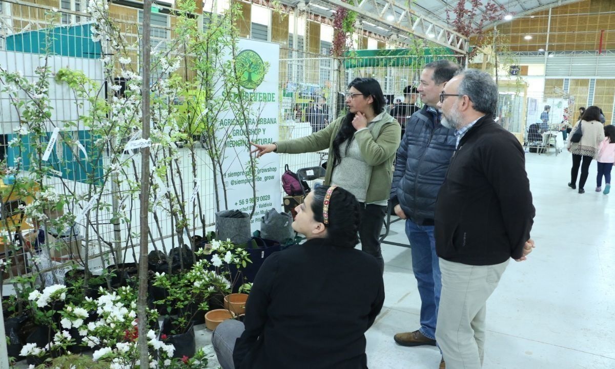 Invitan a valdivianos a participar en nuevas versiones de Feria de la Sustentabilidad y Campaña R-Conéctate