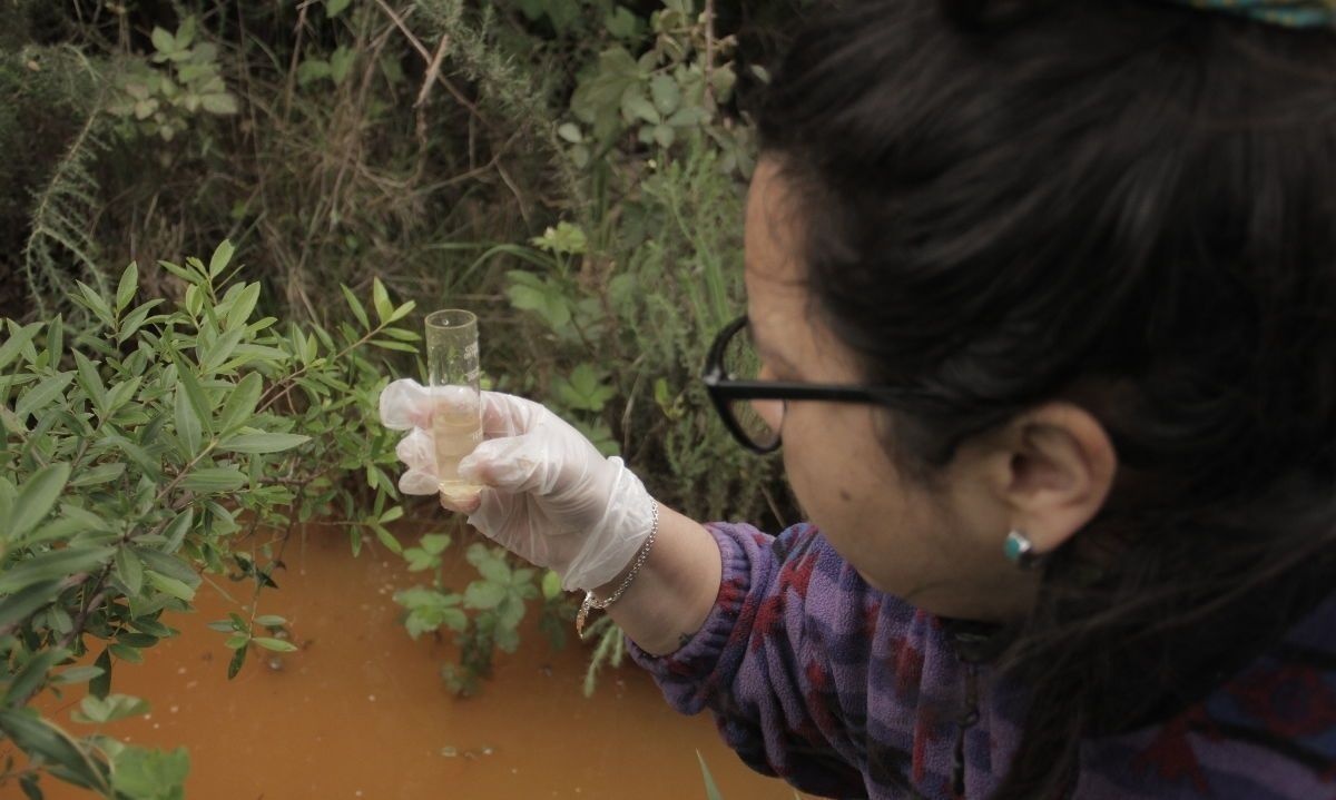 Certifican a primeros monitores ciudadanos en calidad del agua del Santuario de la Naturaleza Humedales de Angachilla 