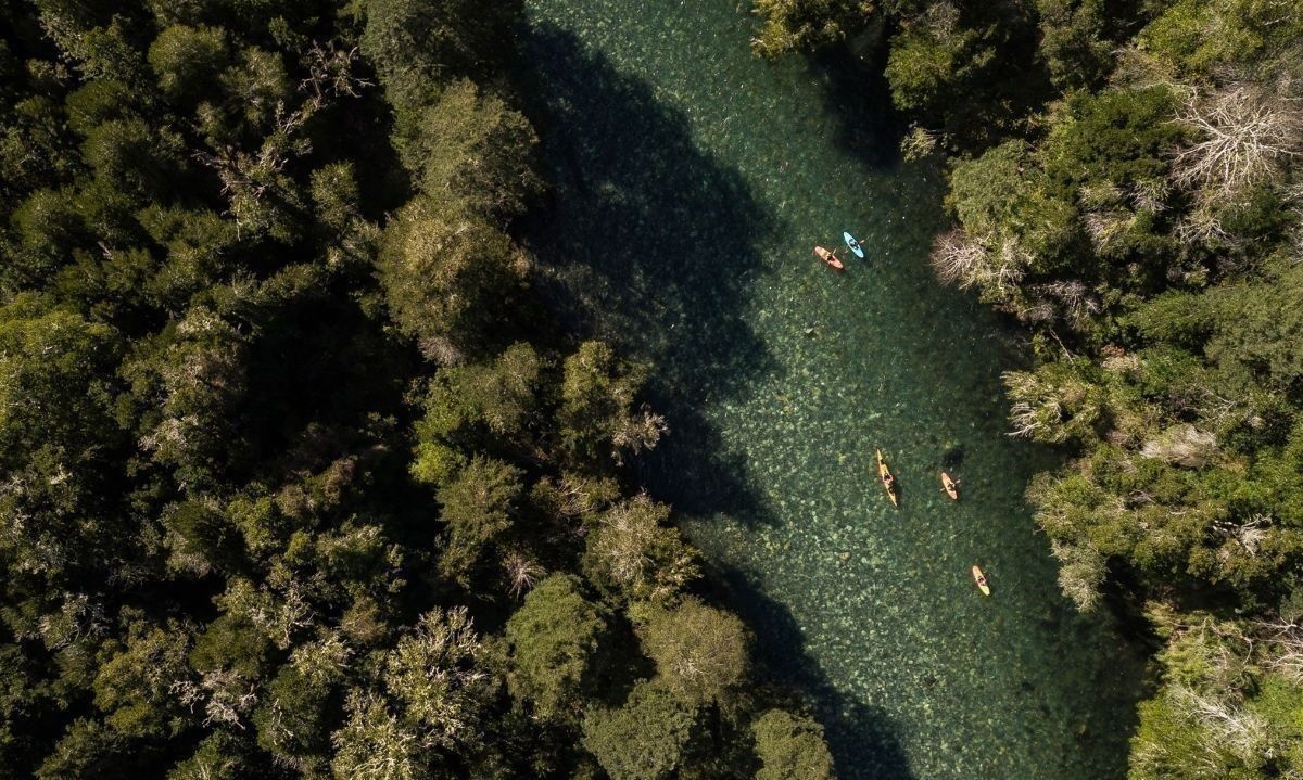 Llega a Valdivia y sus alrededores el Festival Somos Cuencas con 4 días de actividad 