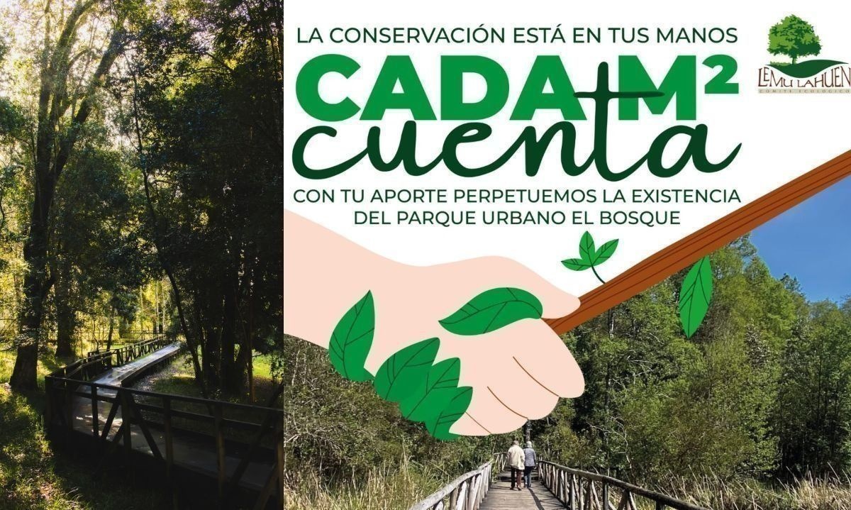 Campaña busca perpetuar la existencia del Parque Urbano El Bosque en Valdivia 