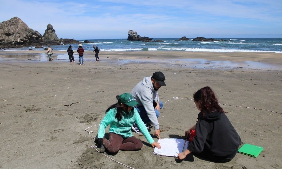 ONG Lafken-Lif investiga la basura en las playas junto a niños y niñas de Valdivia